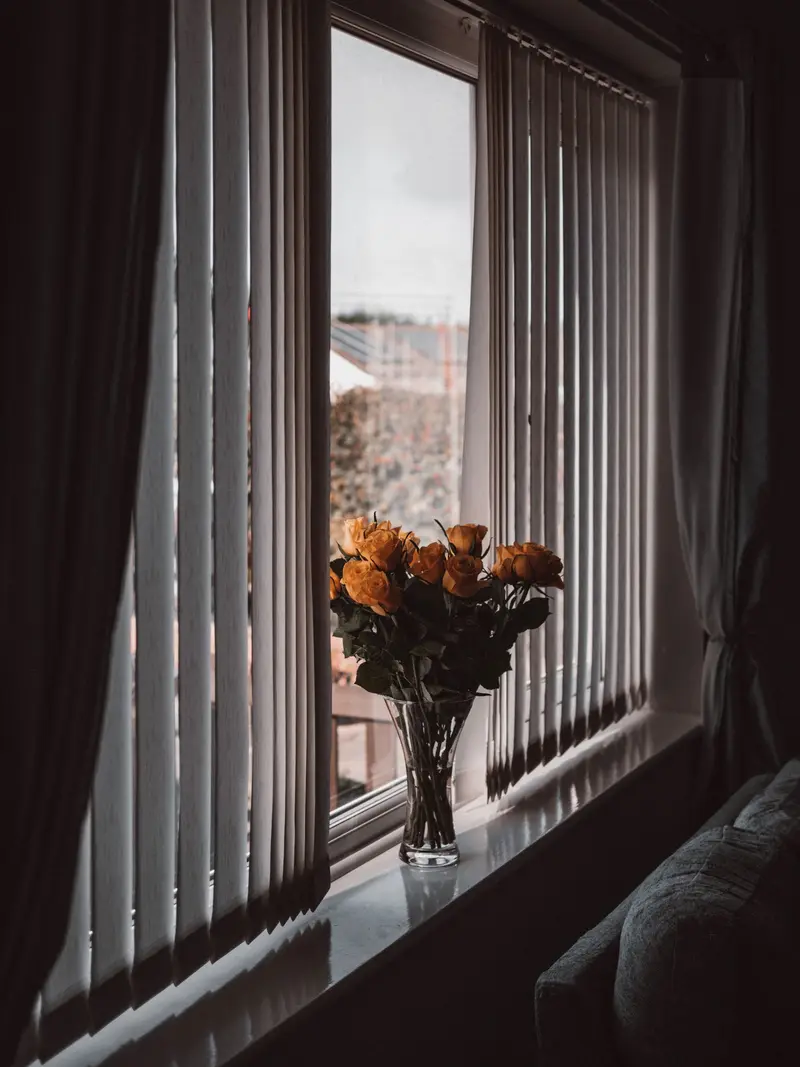 White vertical blinds drawn either side of a window with roses on the sill